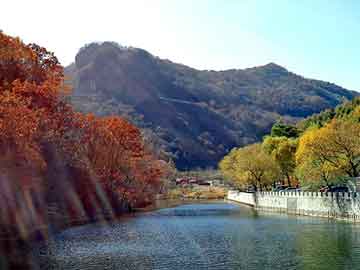 新澳天天开奖资料大全旅游团，嗜血王爷的弃妾